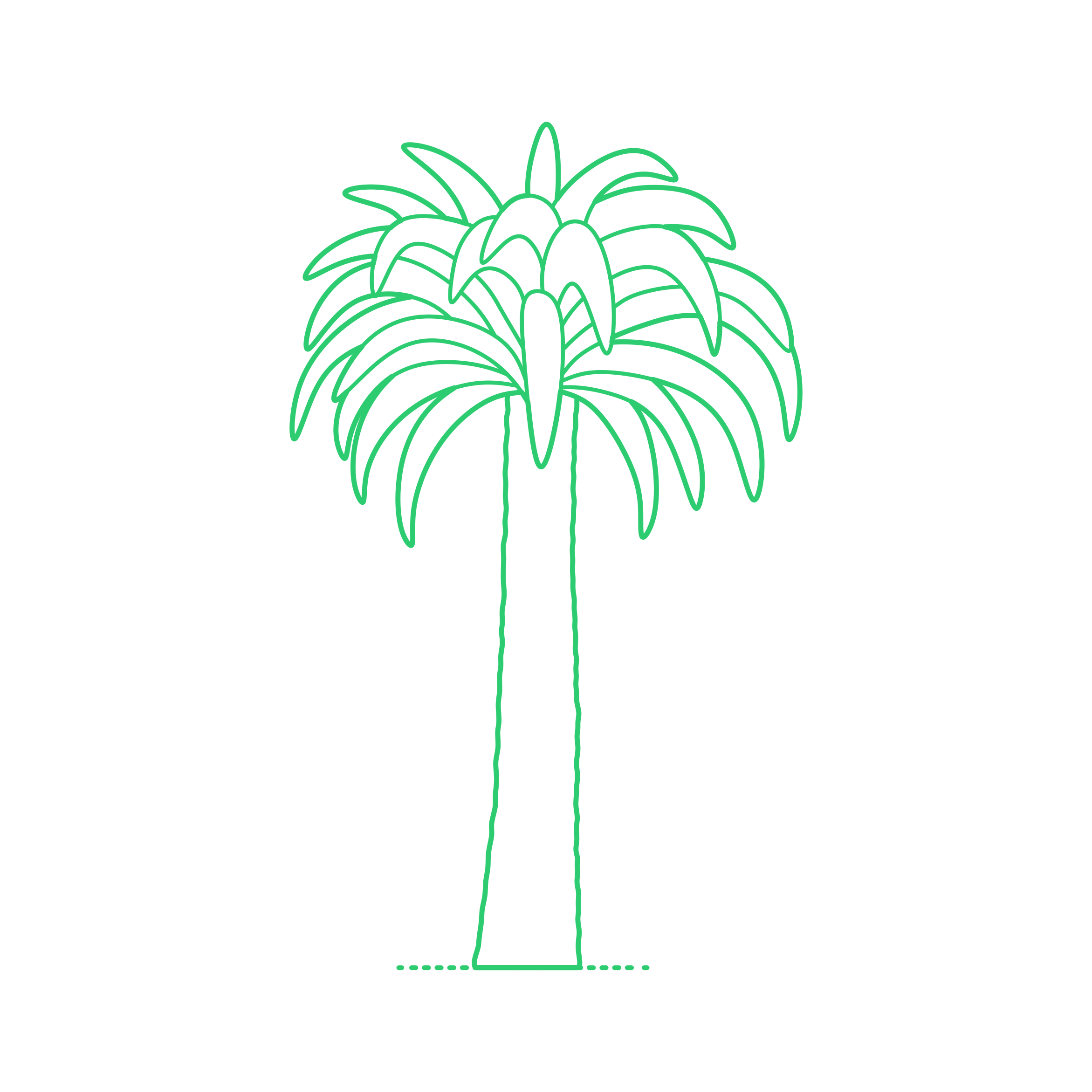 Plants Cycads Woods Cycad Laser Cut Svg File Free Vectors